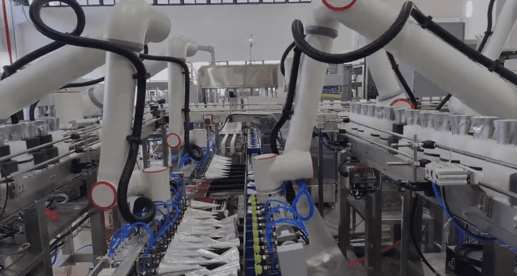 Nestlé Ice Cream Packaging with Fairino FR10 robots