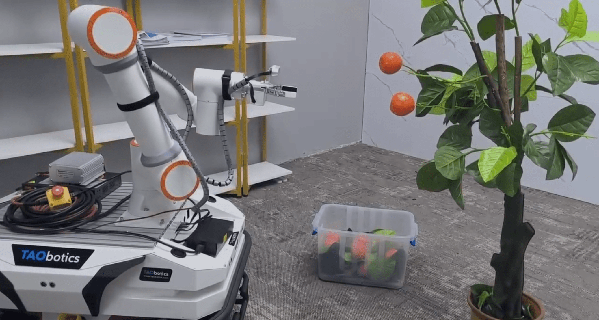 Fruit Picking Demonstration with Fairino FR3